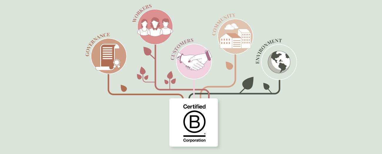 Lingerie brand Marlies dekkers B Corp certified infographic