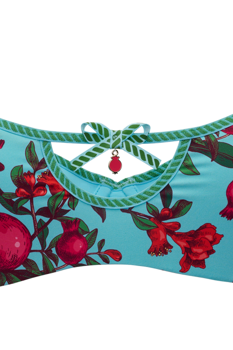 #forbidden-fruit-demi-bra-pomegranate-print
