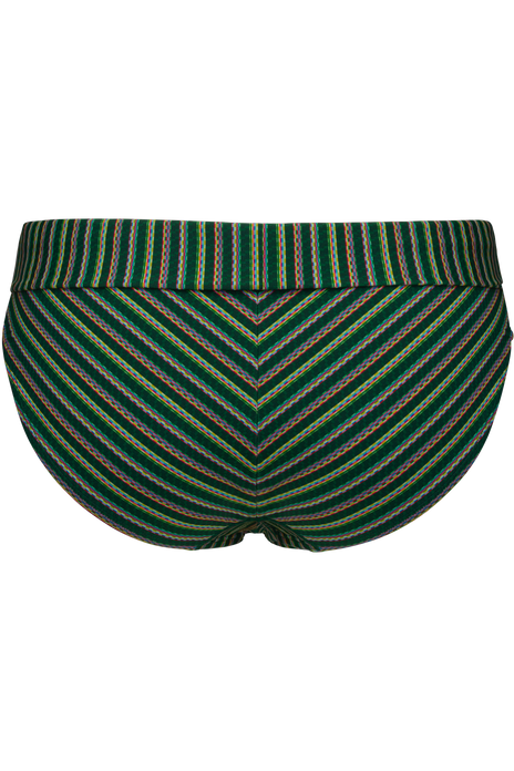 #holi-vintage-fold-down-bikini-bottom-botanical-garden