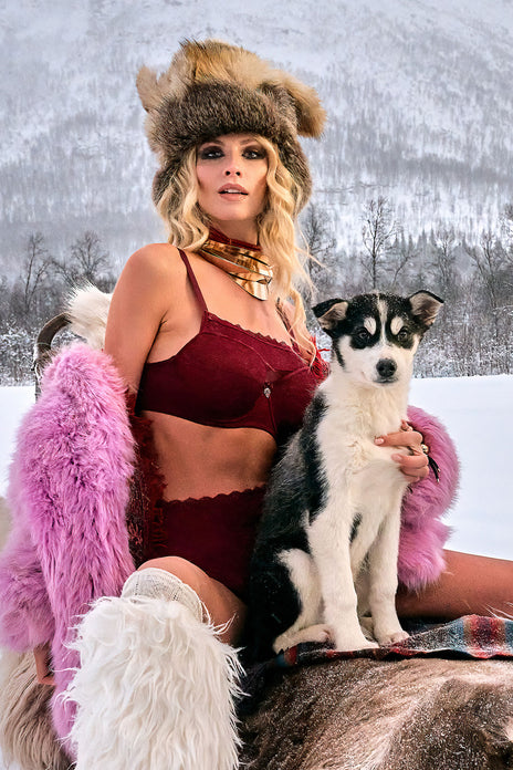 #carita-high-waist-briefs-cabernet-red-and-lace