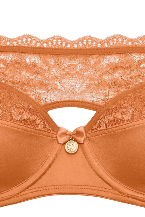 #carita-plunge-balcony-bra-coral-rose