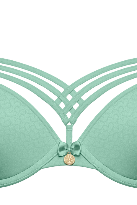 #dame-de-paris-push-up-bra-sage