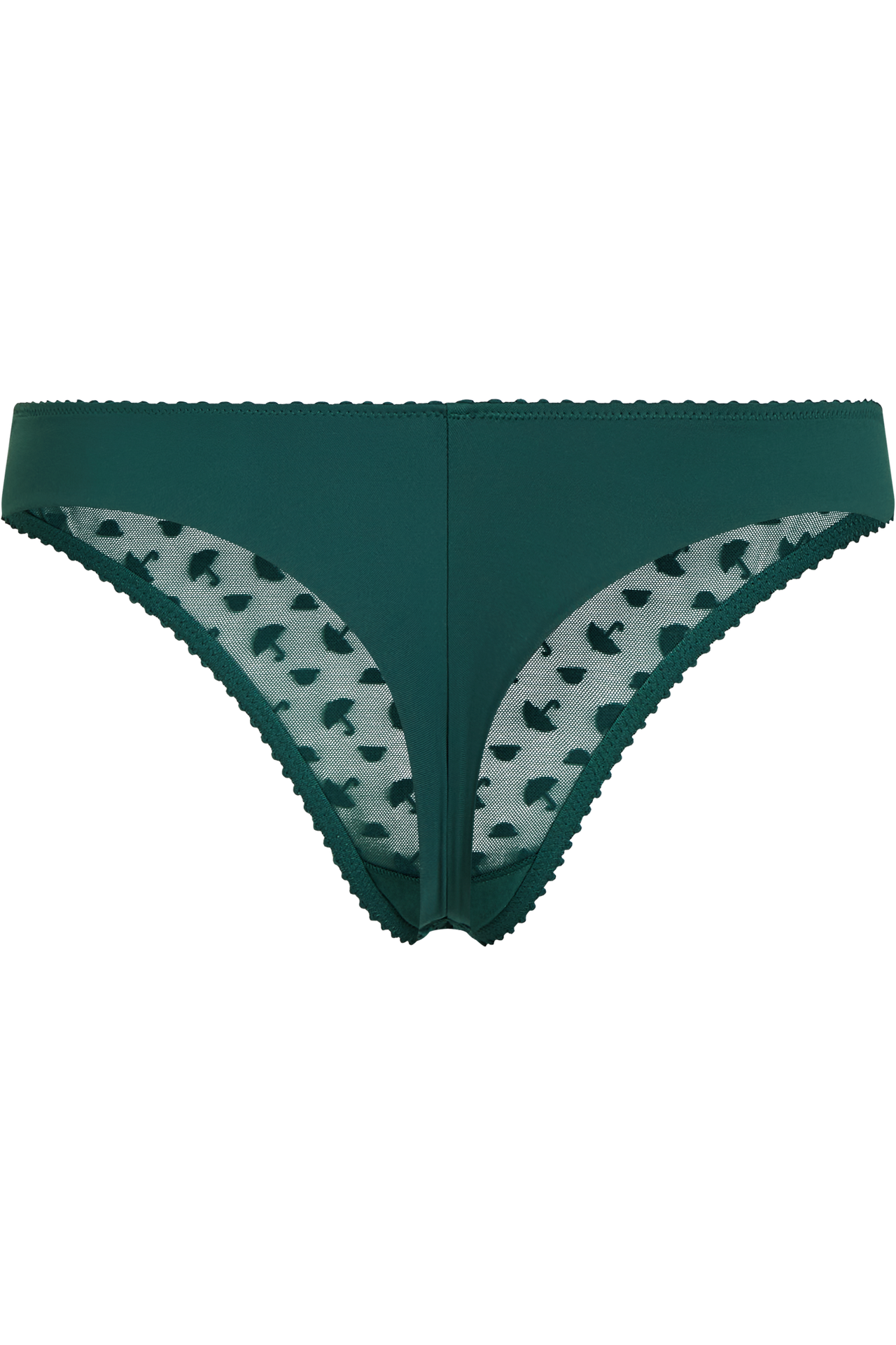 Incognita butterfly thong shadow green