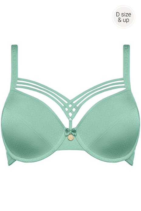 #dame-de-paris-plunge-bra-sage