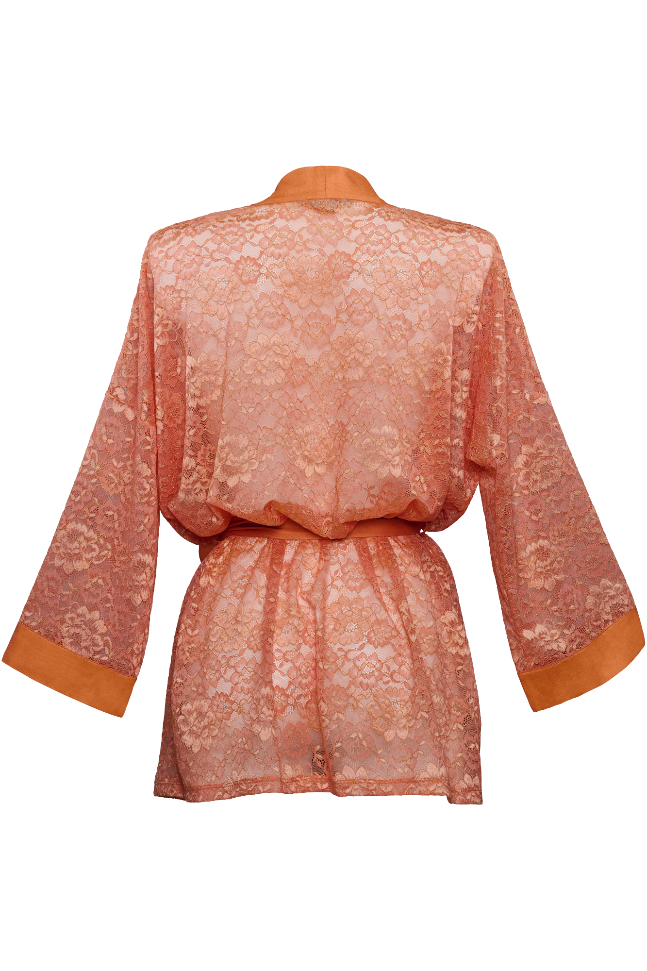 #color_coral rose