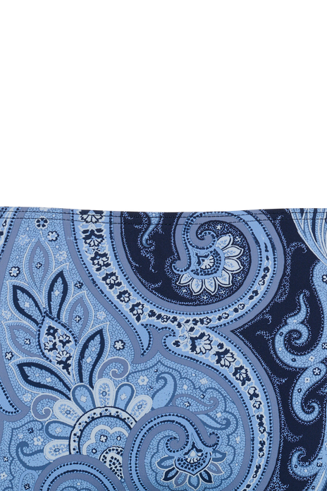 #color_paisley print