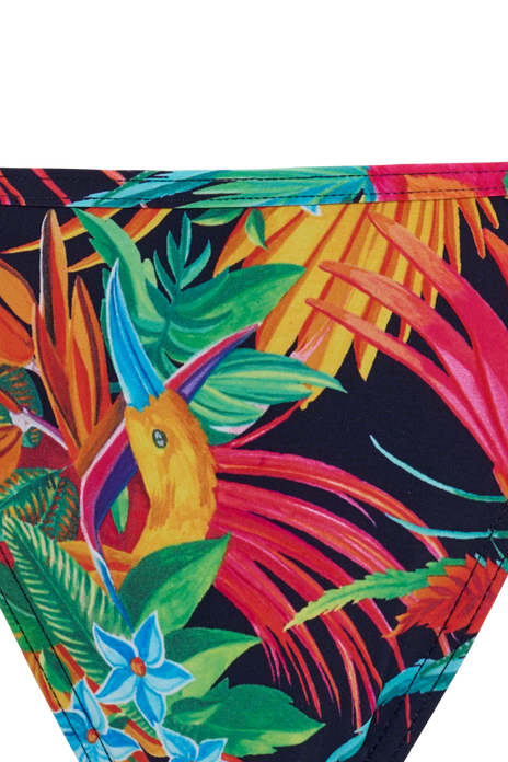 #color_rainforest and gold