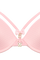 #color_blush pink