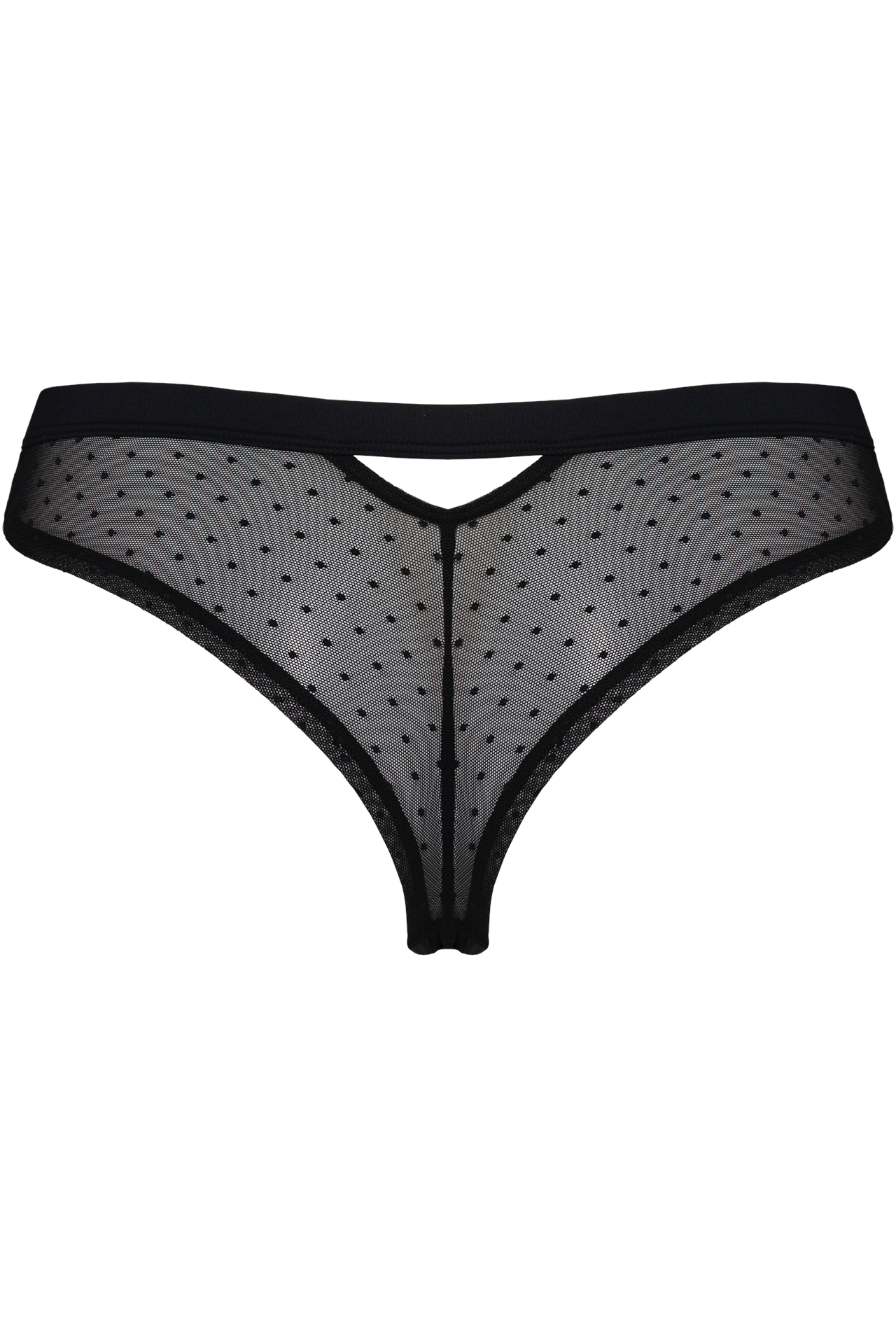 #color_sheer black polka dot