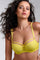 #color_citrus yellow lace