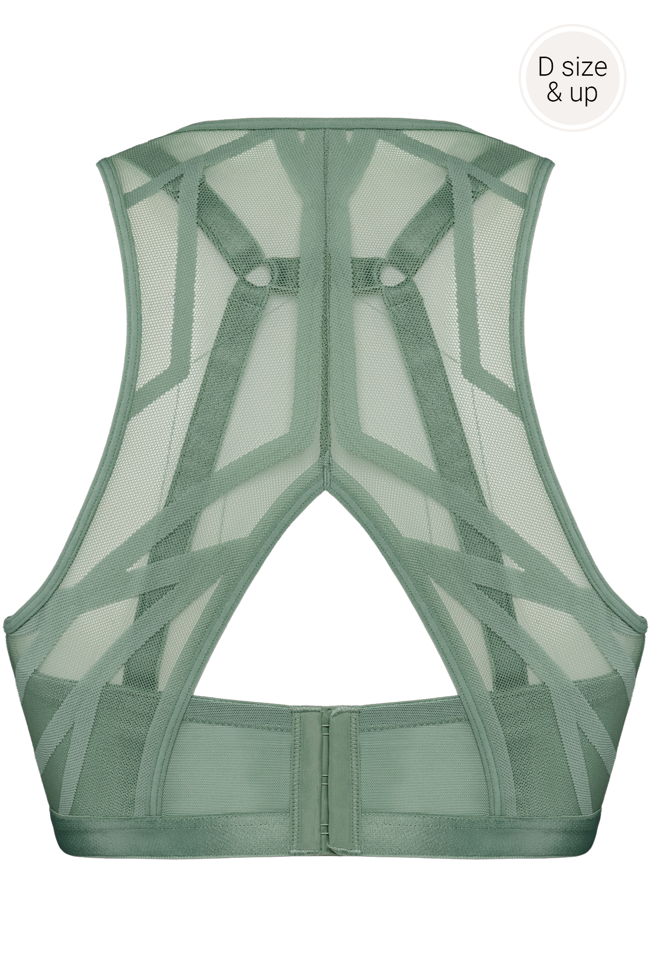 #color_transparent light green