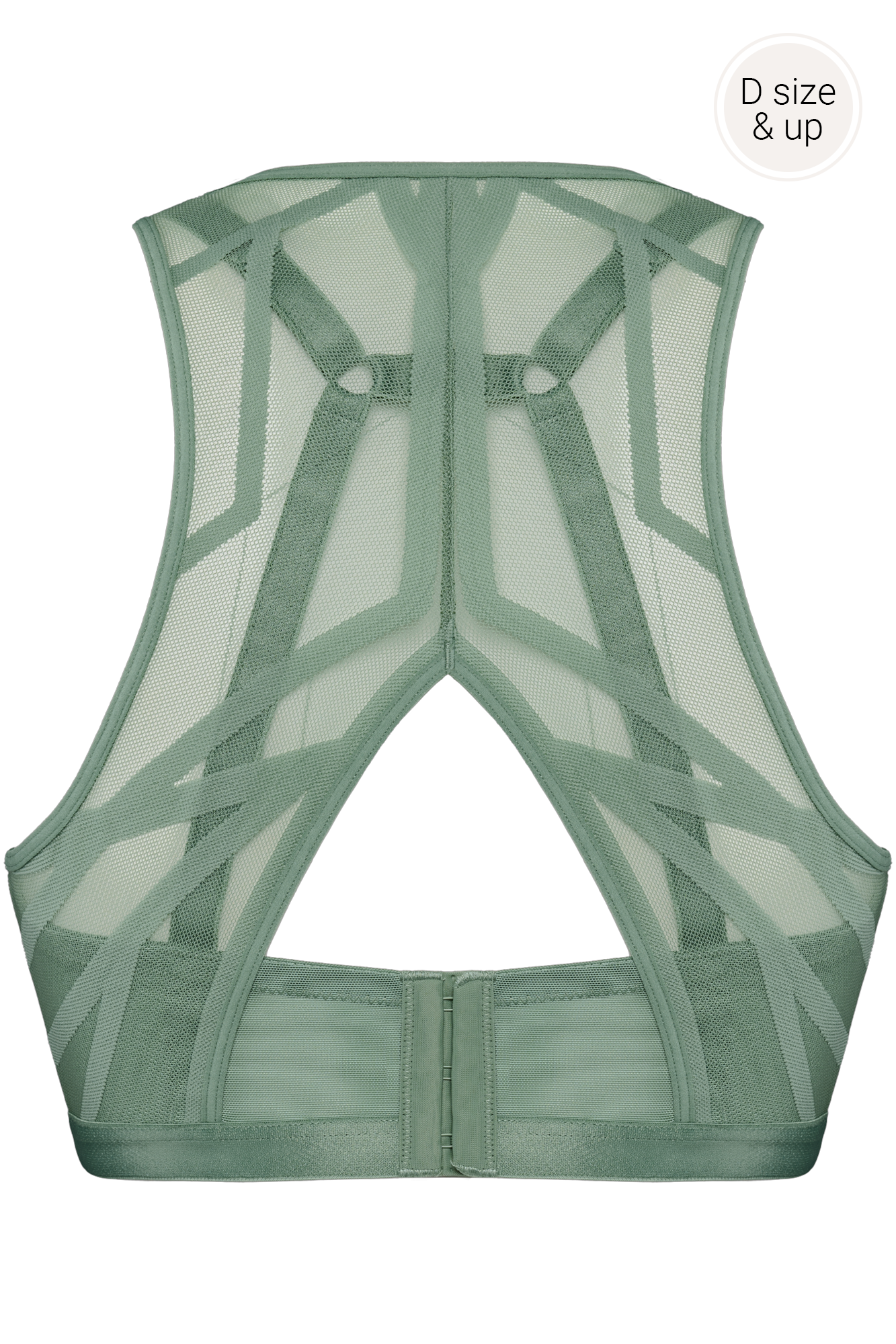 #color_transparent light green