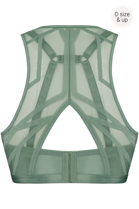 #color_transparent light green