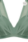 #color_transparent light green