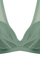 #color_transparent light green