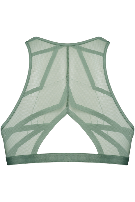 #color_transparent light green