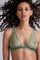 #color_transparent light green