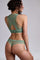 #color_transparent light green