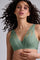 #color_transparent light green