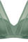 #color_transparent light green