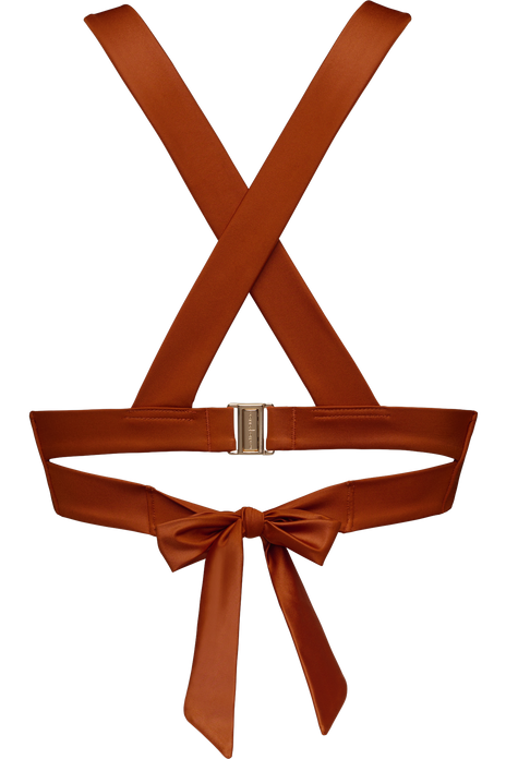 #color_burnt orange