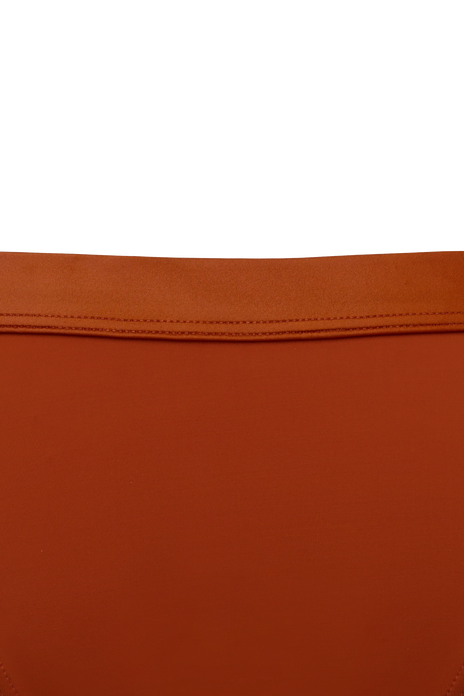 #color_burnt orange