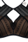 #color_transparent black and san