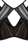 #color_transparent black and san