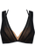 #color_transparent black and san