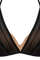#color_transparent black and san