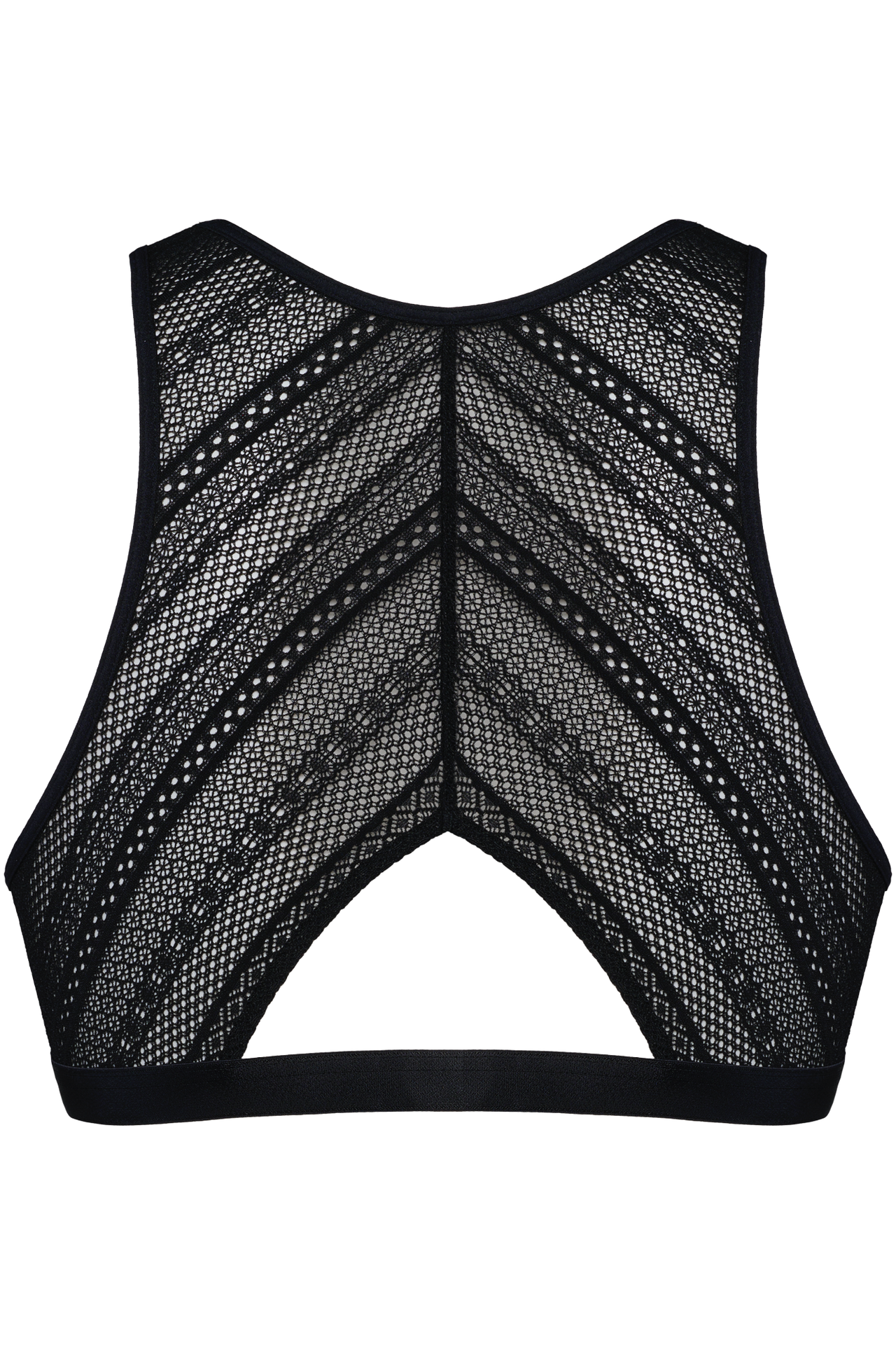 #color_transparent black and san