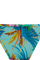 #color_aqua sky