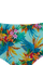 #color_aqua sky