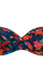 #color_thalassa print