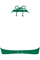 #color_jungle green