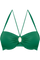 #color_jungle green