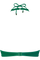 #color_jungle green