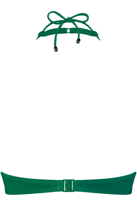 #color_jungle green