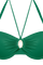 #color_jungle green