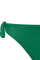 #color_jungle green