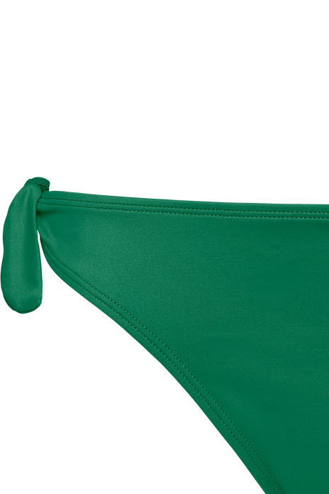 #color_jungle green