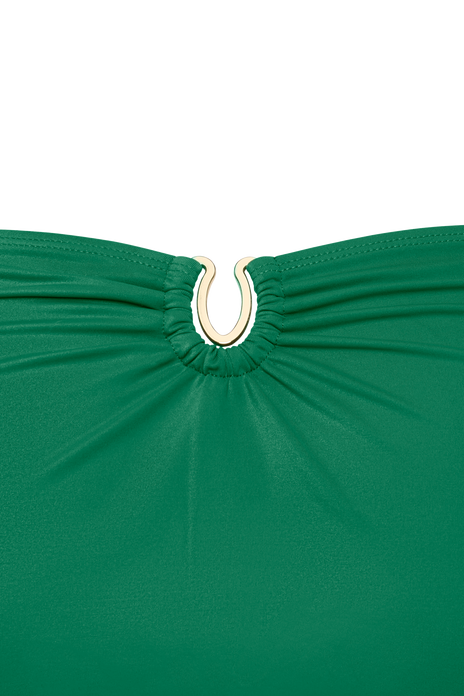 #color_jungle green