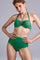 #color_jungle green