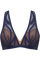 #color_transparent nightfall