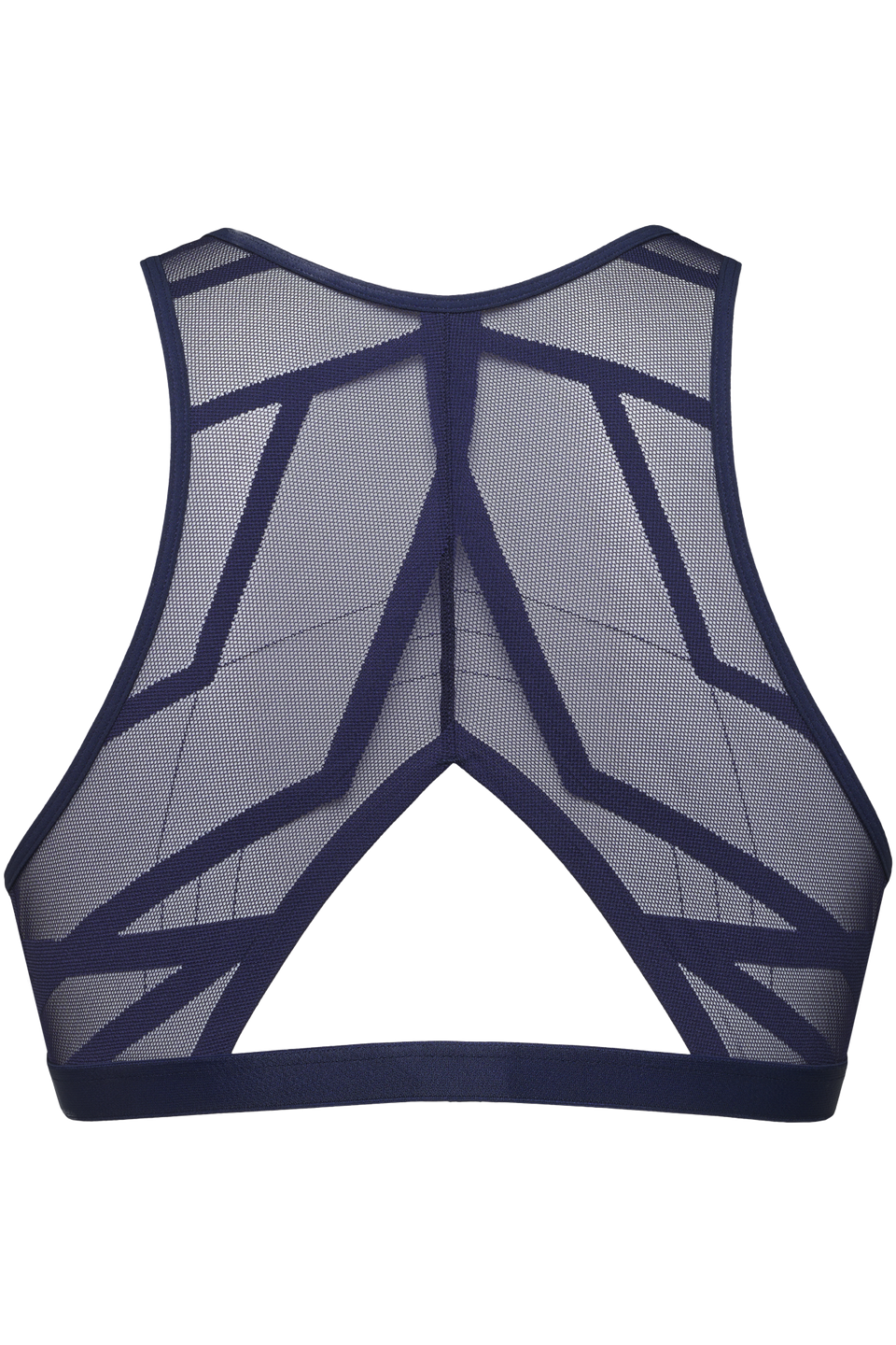#color_transparent nightfall