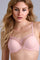 #color_blush pink