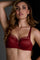 Dame de paris balcony bra midnight merlot