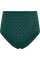 Incognita high waist briefs shadow green