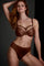 Dame de paris plunge bra mocha mirage