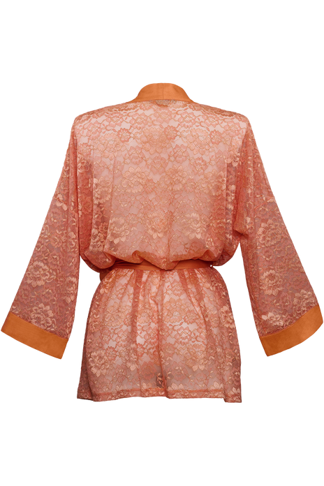 #color_coral rose